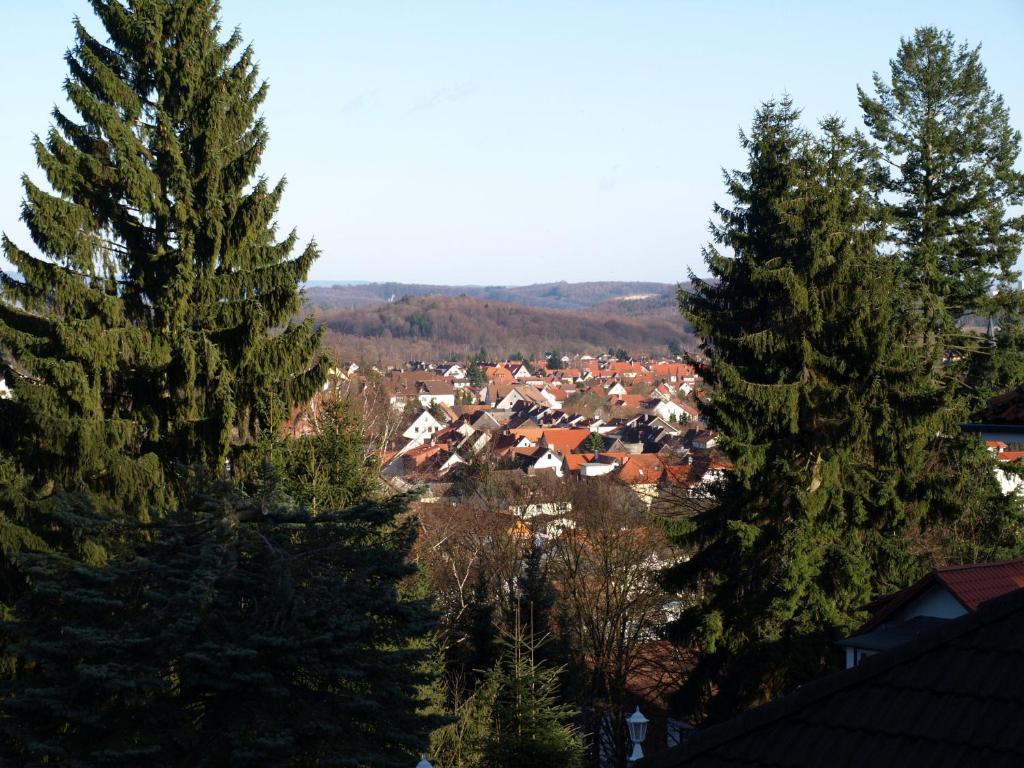 Hotel-Pension Ursula Bad Sachsa Zewnętrze zdjęcie